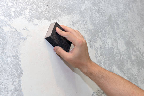 Best Post-Construction Mold Inspection  in Hubbard, TX