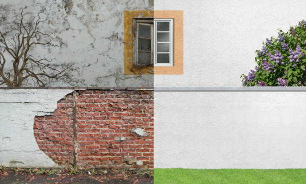 Best Industrial Mold Remediation  in Hubbard, TX